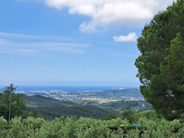 Appartamento in vendita a Castellina Marittima PI