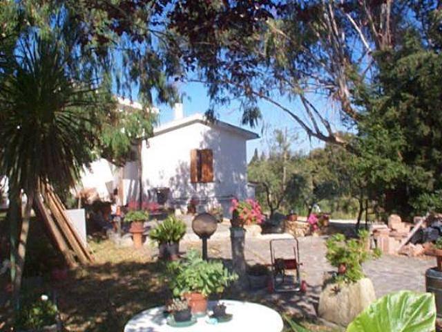 Appartamento in vendita a Castellina Marittima PI
