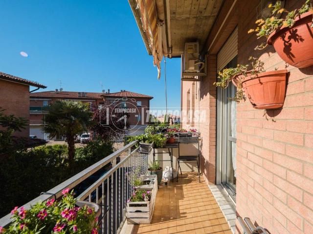 Appartamento in vendita a Castelvetro di Modena MO
