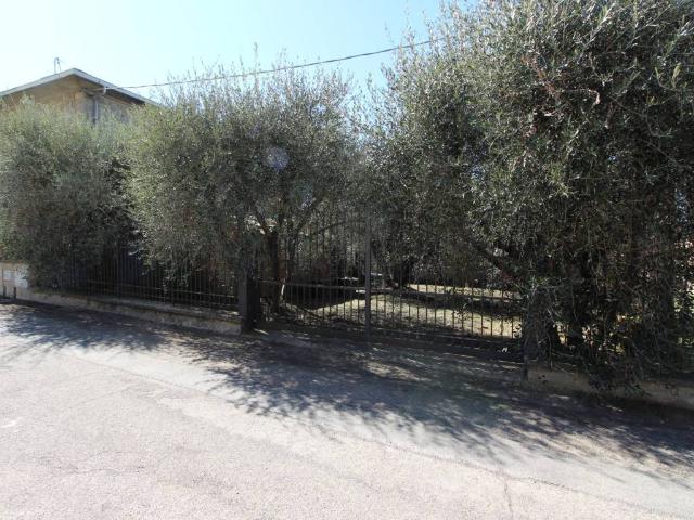 Appartamento in vendita a Castiglion Fiorentino AR