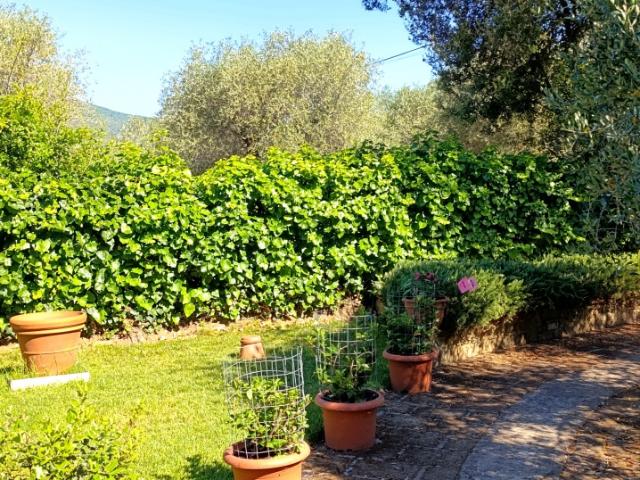 APPARTAMENTO in VENDITA a CASTIGLIONE DELLA PESCAIA AMPIO di 4 vani