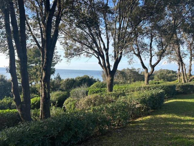 Appartamento in vendita a Castiglione della Pescaia GR