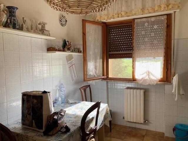 Appartamento in vendita a Capalbio GR