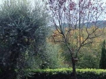 Comeana, Firenze Toscana, Toscana - Giardino