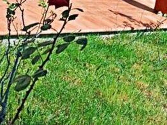 Appartamento in vendita a Carmignano PO
