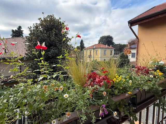 Appartamento in vendita a Carate Brianza MB