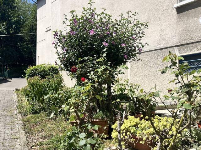 Appartamento in vendita a Carate Brianza MB
