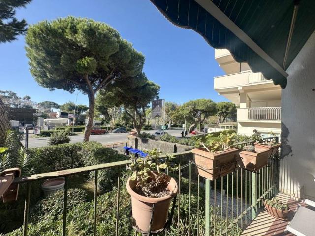 Appartamento in vendita a Carrara MS