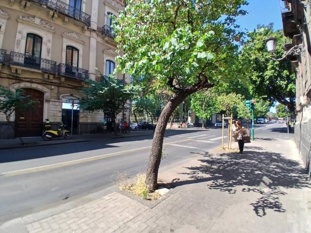 Appartamento in vendita a Catania CT