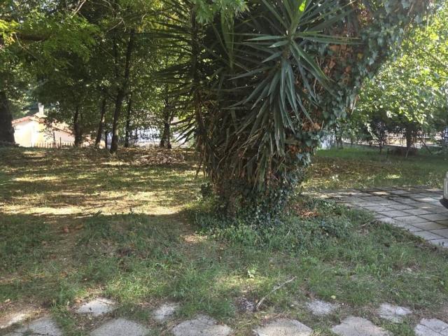 Appartamento in vendita a Ceccano FR
