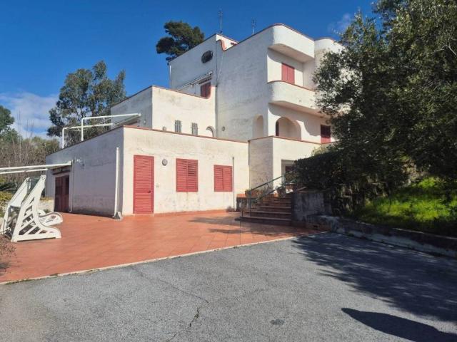 Appartamento in vendita a Centola SA