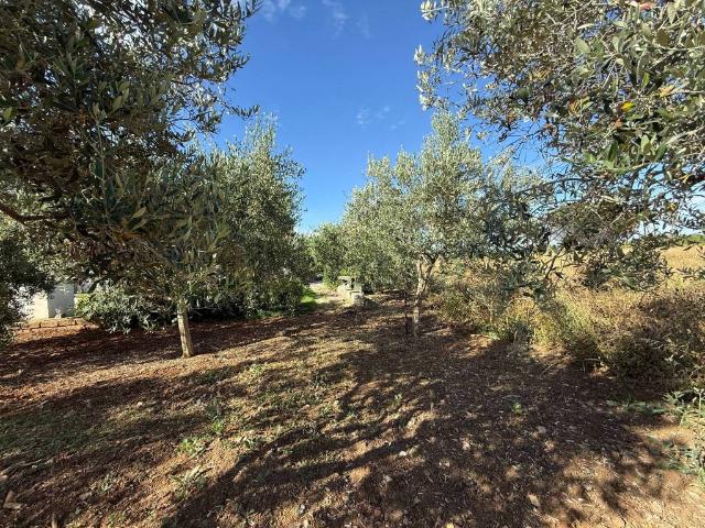 Appartamento in vendita a Cerveteri RM