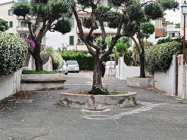 Appartamento in vendita a Cerveteri RM