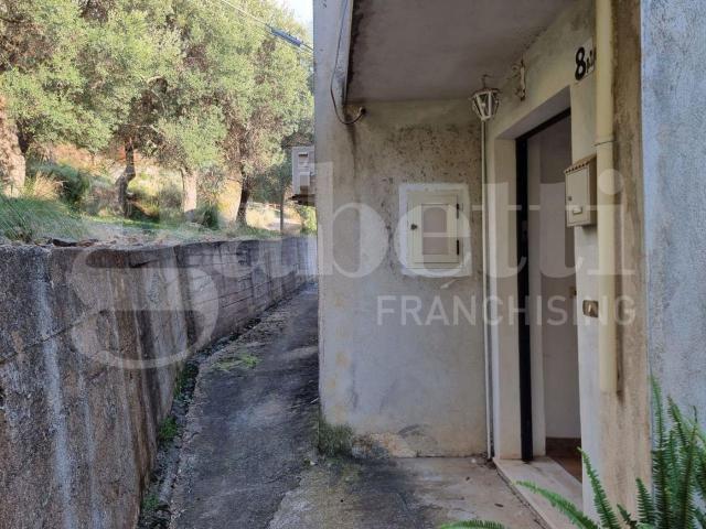 Appartamento in vendita a Cetraro