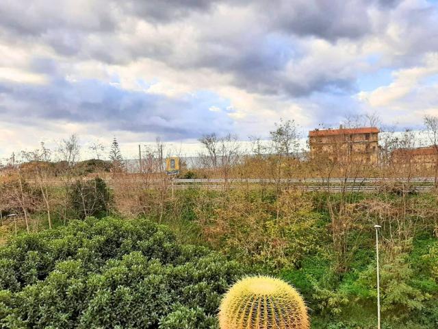 Appartamento in vendita a Cetraro CS