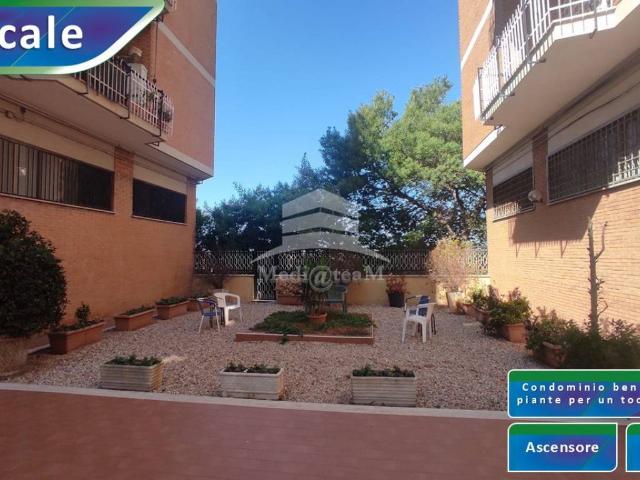 Appartamento in vendita a Ciampino RM