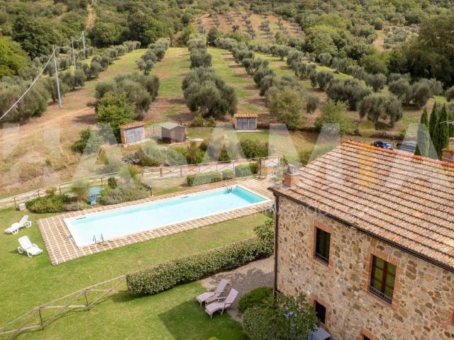 Appartamento in vendita a Cinigiano GR