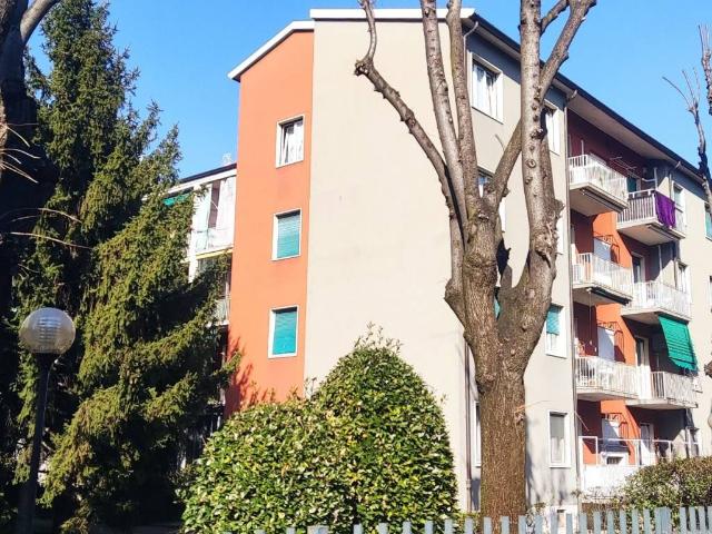 Appartamento in vendita a Cinisello Balsamo MI