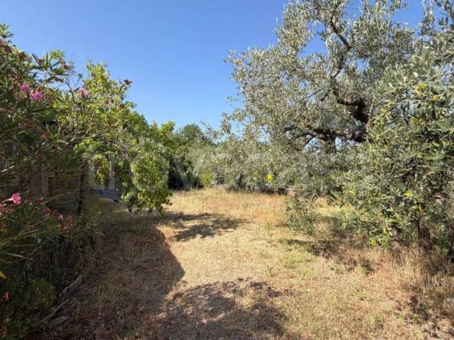 Appartamento in vendita a Collazzone strada provinciale 421