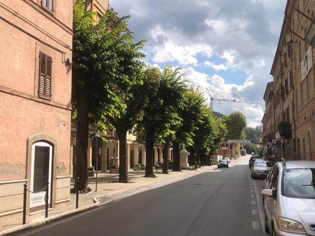 Appartamento in vendita a Comunanza AP