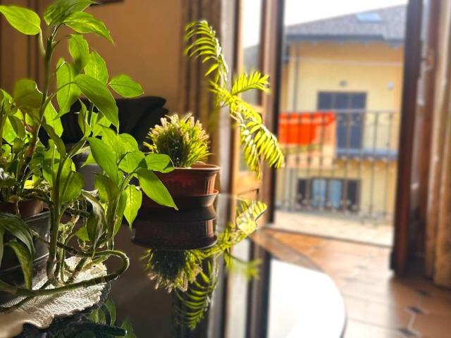 Appartamento in vendita a Condove TO