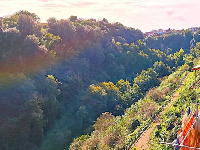 Appartamento in vendita a Corchiano VT