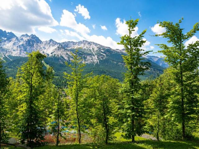 Appartamento in vendita a Cortina d'Ampezzo BL