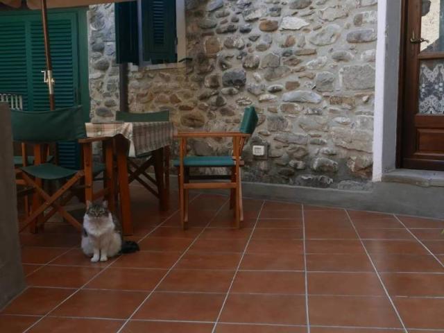 Appartamento in vendita a Dolceacqua IM