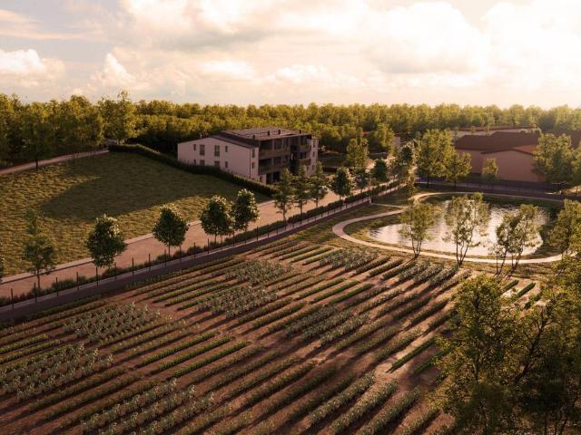 Appartamento in vendita a Dozza BO