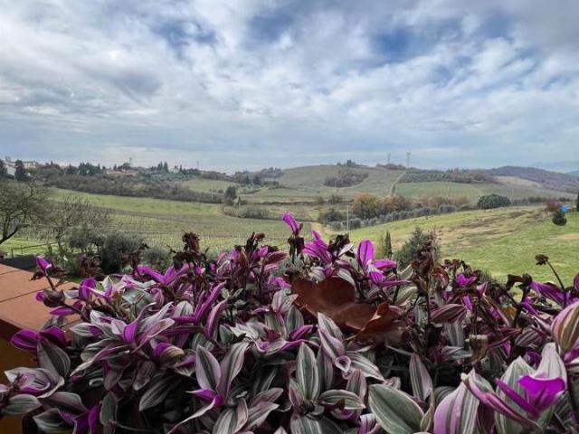 Appartamento in vendita a Empoli
