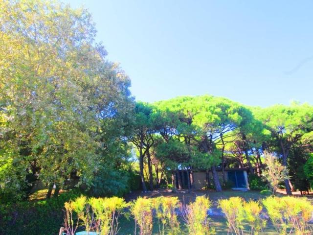 Appartamento in vendita a Eraclea VE