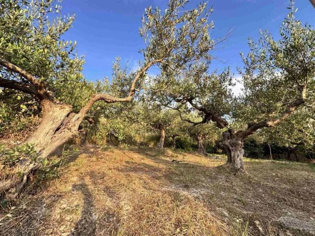 Appartamento in vendita a Erice TP