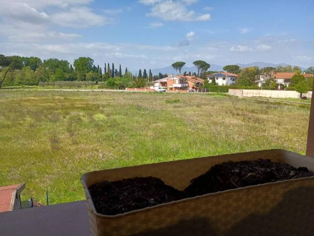 Appartamento in vendita a Fauglia PI