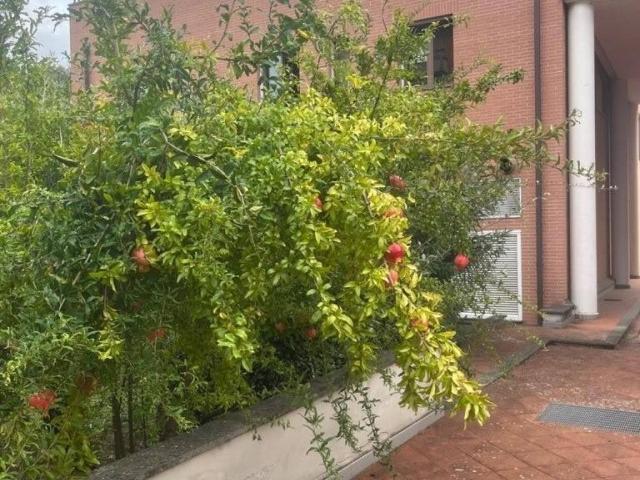Appartamento in vendita a Firenze FI