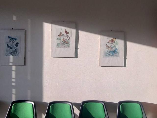 Appartamento in vendita a Fiumefreddo di Sicilia CT