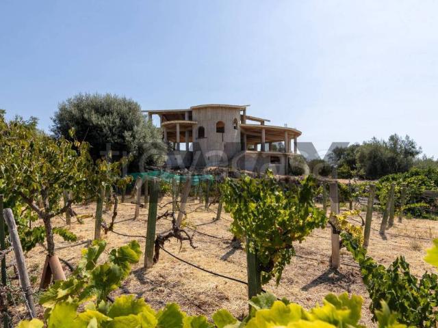 Appartamento in vendita a Floridia via cugno canne, 43