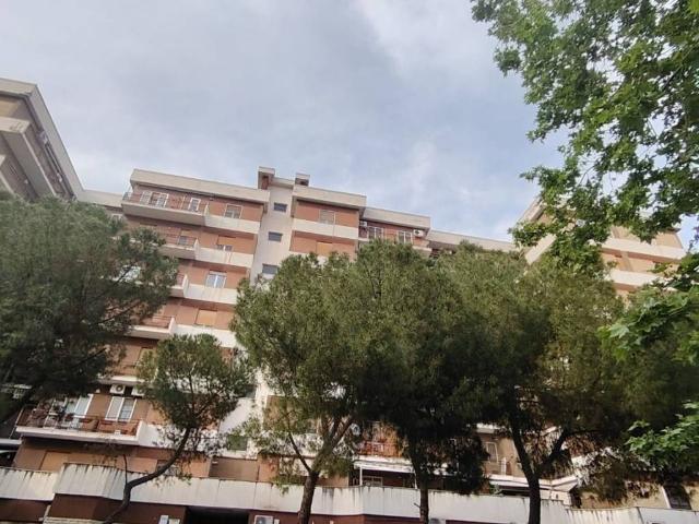 Appartamento in vendita a Foggia FG