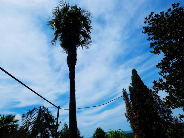 Appartamento in vendita a Foiano della Chiana AR
