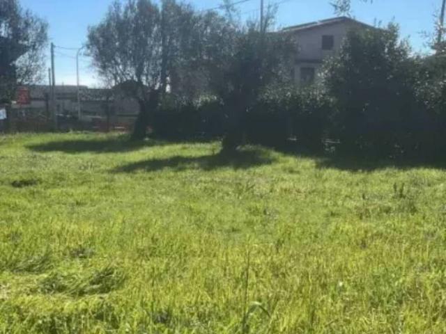 Appartamento in vendita a Formicola CE