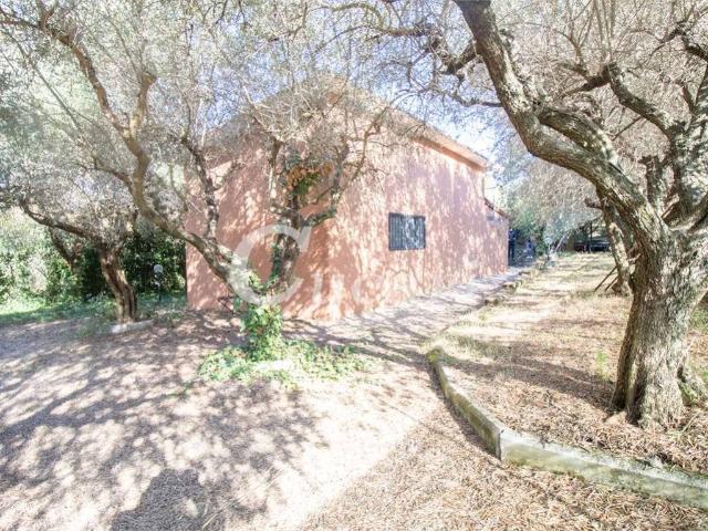 Appartamento in vendita a Frascati RM