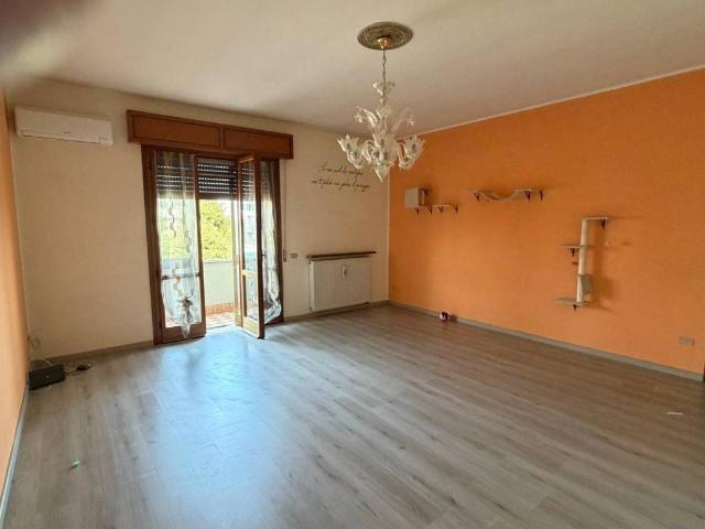 Appartamento in vendita a Gazzo Veronese VR