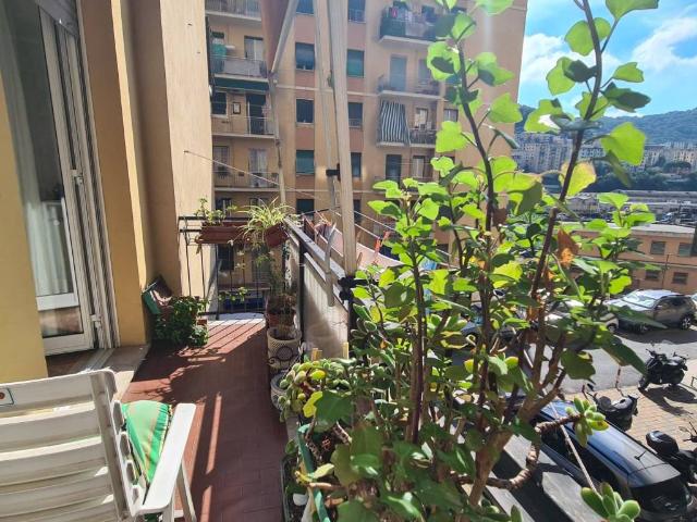 Appartamento in vendita a Genova GE