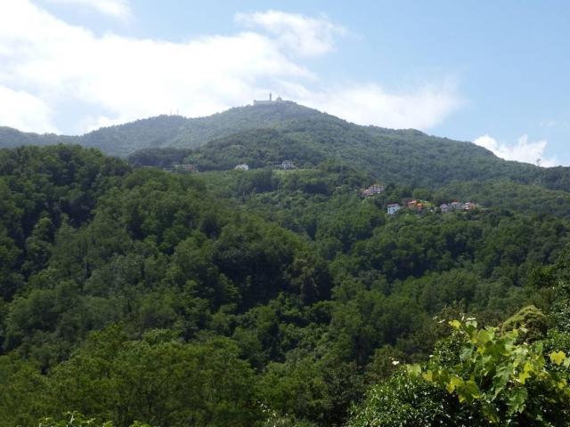 Appartamento in vendita a Genova GE
