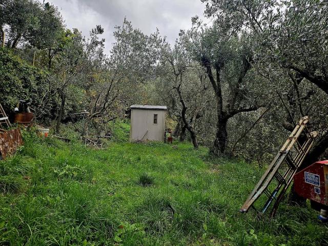 Appartamento in vendita a Genova GE