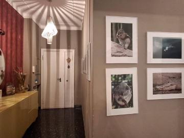 Appartamento in vendita a Genova GE