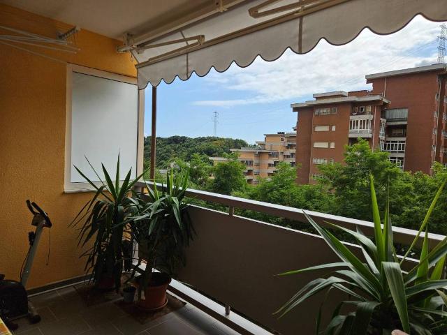 Appartamento in vendita a Genova GE