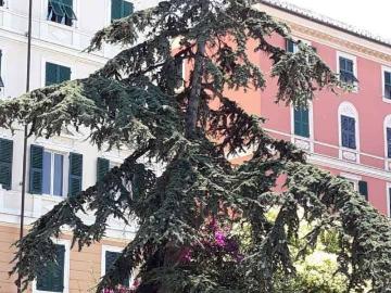 Appartamento in vendita a Genova GE