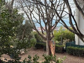 Appartamento in vendita a Genova GE