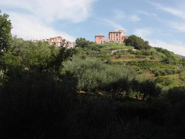 Appartamento in vendita a Genova GE