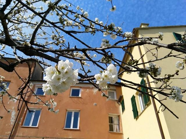 Appartamento in vendita a Genova GE